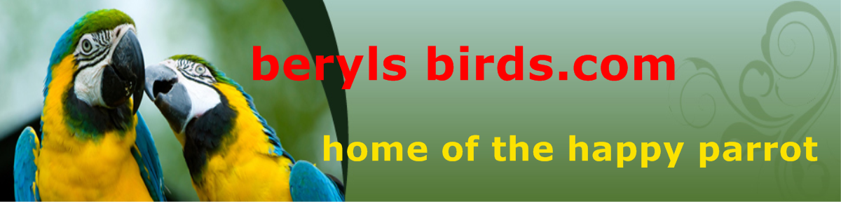 berylsbirds.com