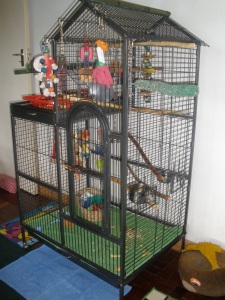 African Grey parrot Cage