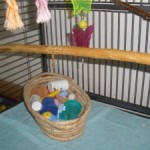 Wicker Basket with Parrot Toys